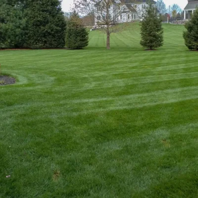 jackson-mi-irrigation-installation