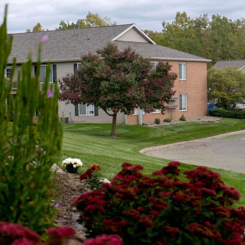 jackson-mi-mosquito-and-tick-control