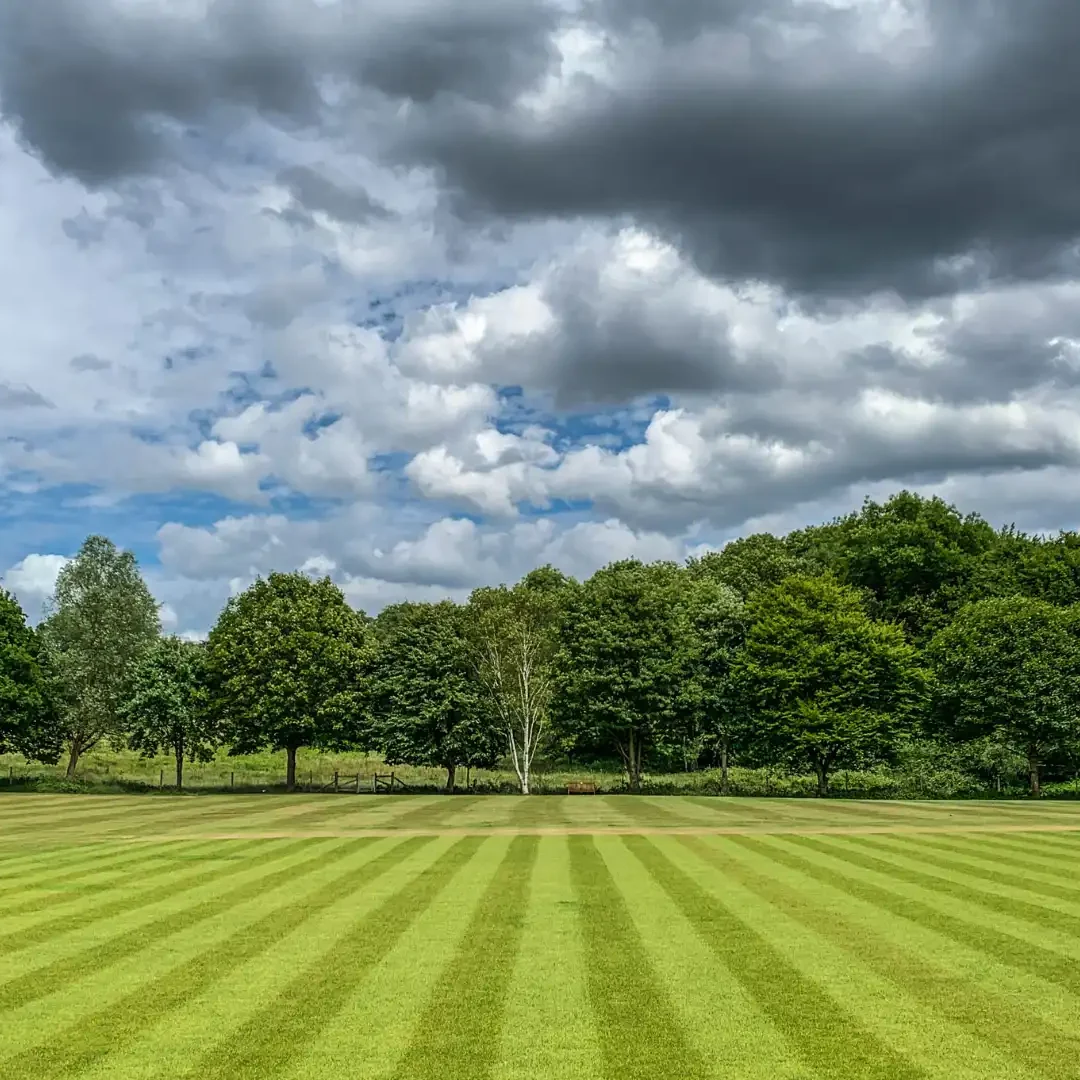 Commercial Lawn Mowing Services Lansing, MI