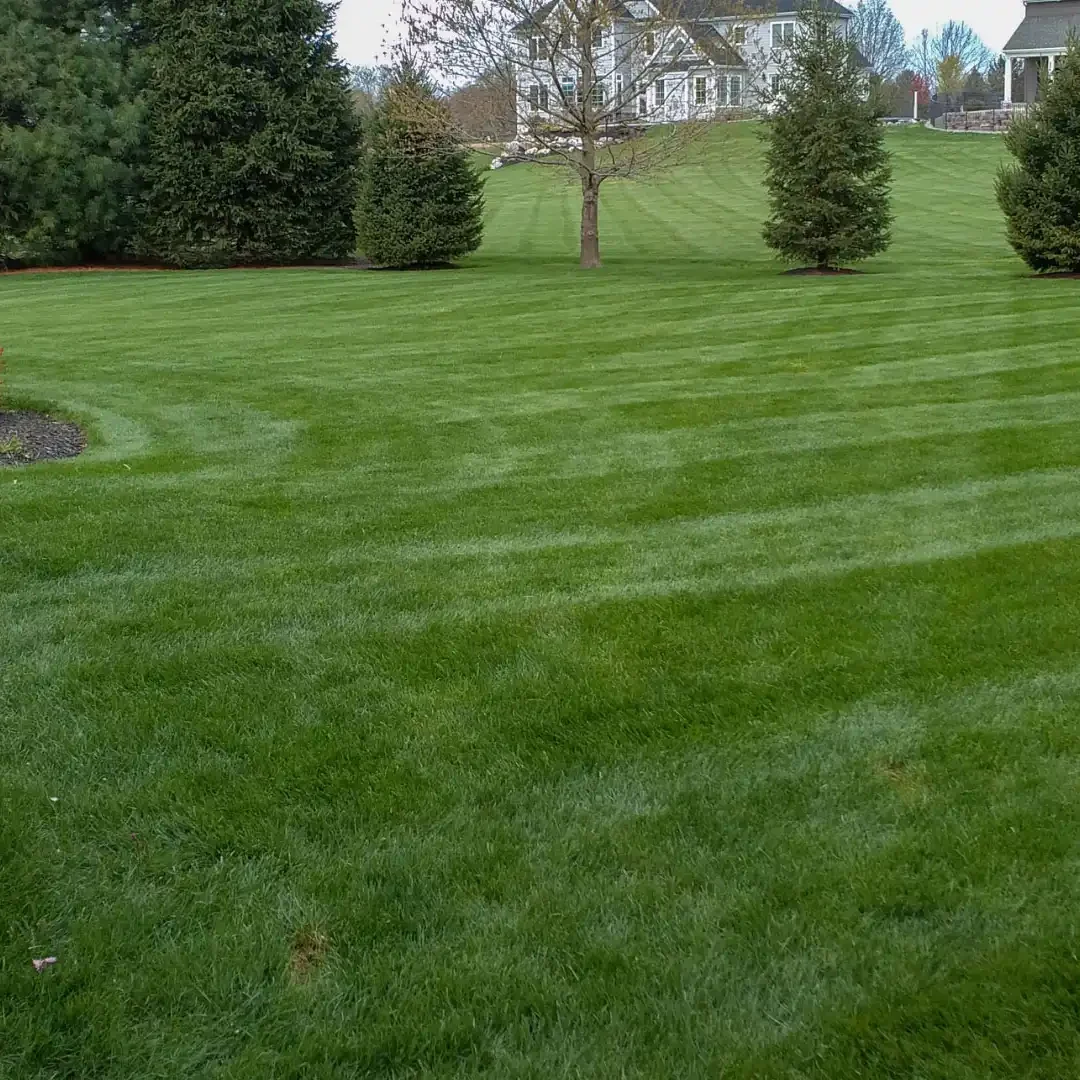 brooklyn-mi-mosquito-and-tick-control