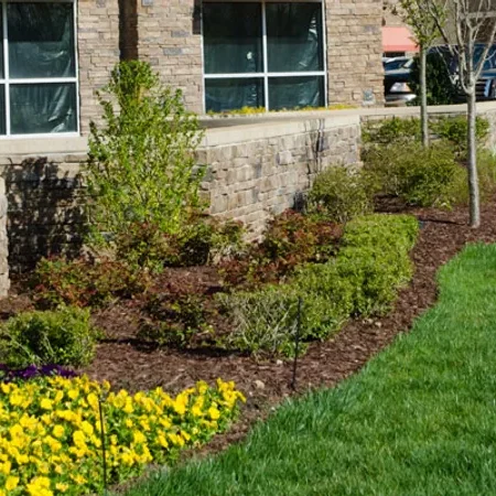 Lansing, MI Commercial Landscape Maintenance