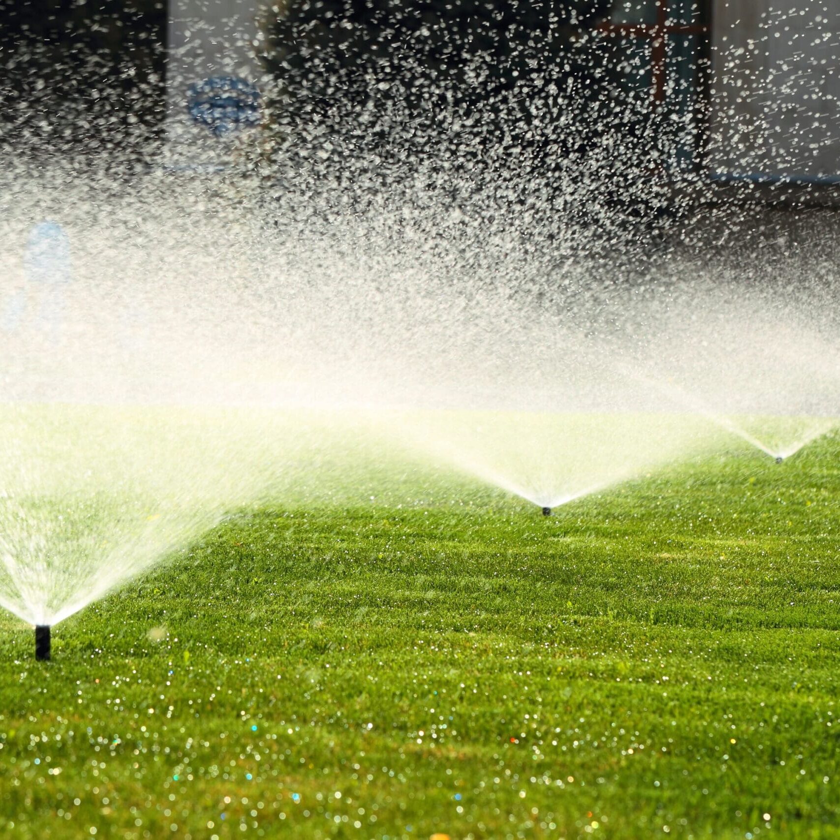 jackson-mi-irrigation-companies jackson-mi-irrigation-companies